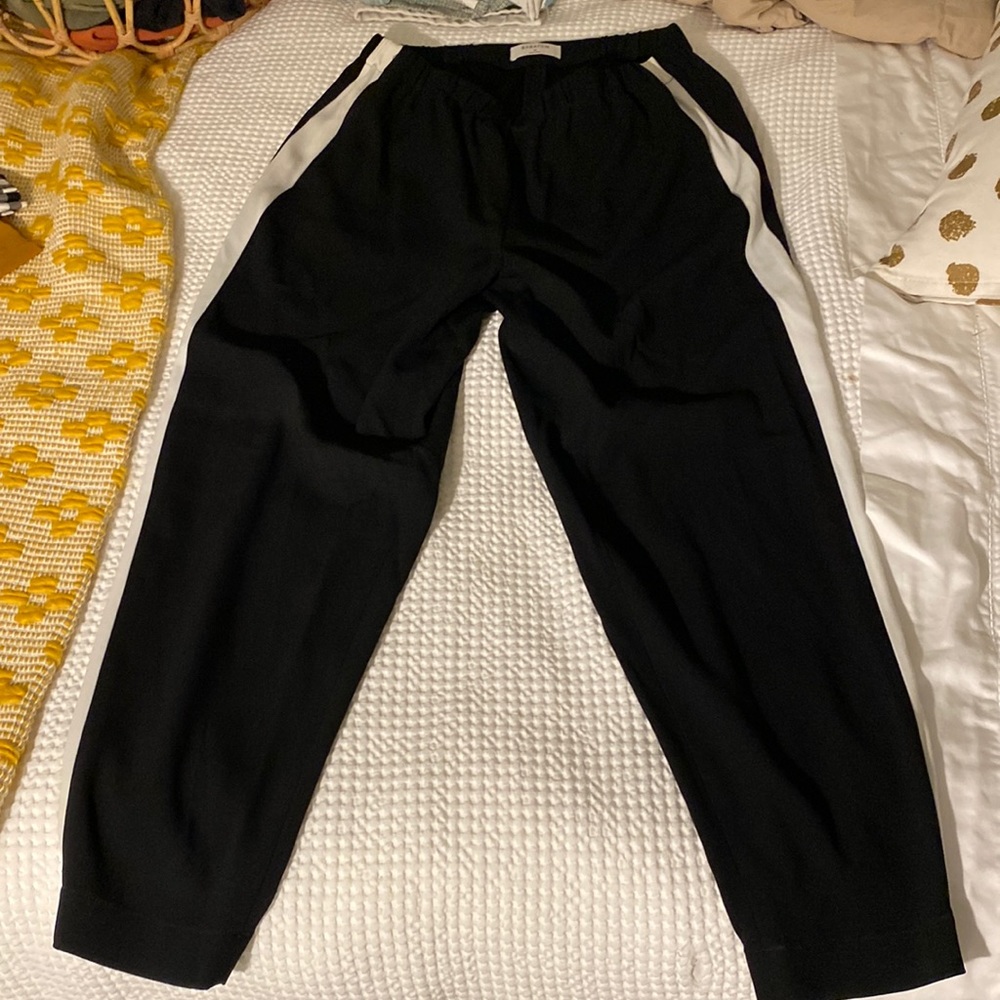 Aritzia jogger pants